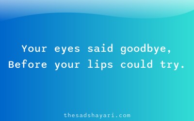 Heart touching shayari about last goodbye look