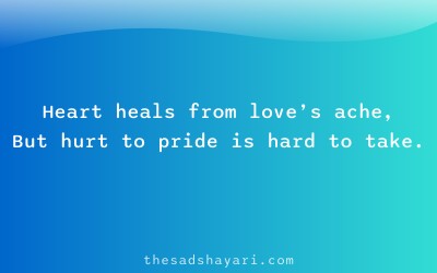 Sad shayari about hurt dignity