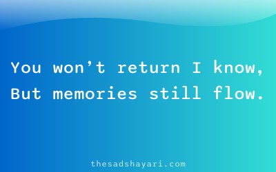 Heart touching Hindi shayari about memories