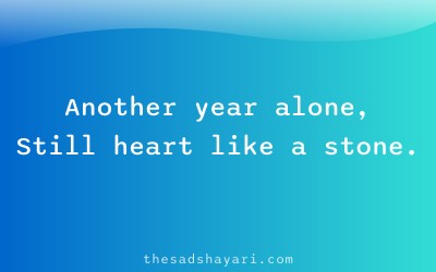 Sad birthday shayari about painful year