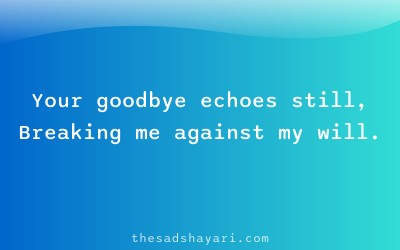 Gujarati sad shayari about final goodbye
