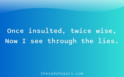 Hindi shayari about wisdom from insult
