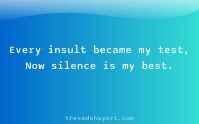 Hindi shayari about calm strength after insult