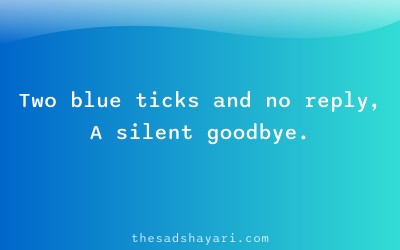 Ignore block shayari about blue tick and silence