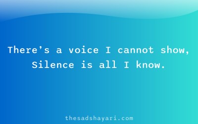 Sad Hindi shayari about hidden emotions