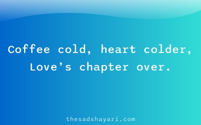Sad Insta caption shayari about love ending