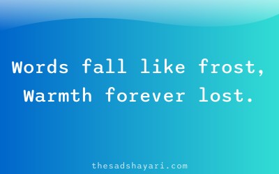 Sad Hindi shayari about cold relationship