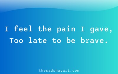 Regret shayari about feeling others’ pain