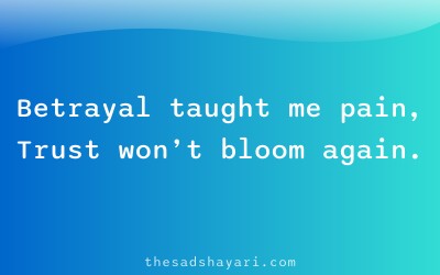 Trust toot gaya Hindi shayari about betrayal lesson