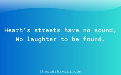 Sad Hindi shayari about emptiness during festival