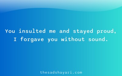 Sad Hindi shayari about forgiveness after insult
