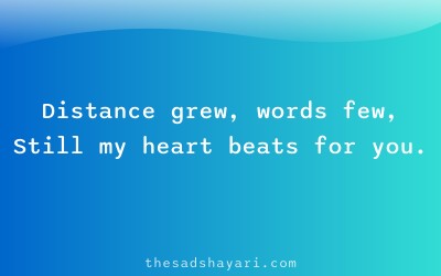 Gujarati dost door thai gaya shayari about distance