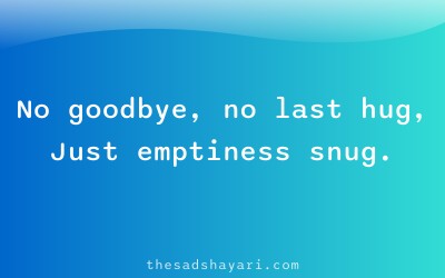 Sad Hindi shayari about sudden distance