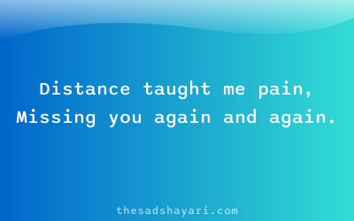Friendship shayari about learning from distance