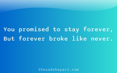 Sad shayari about friend going away