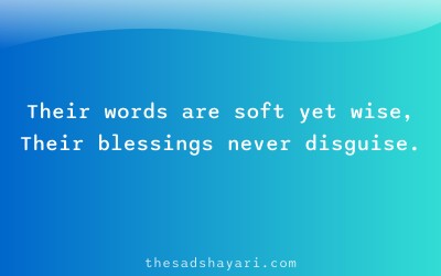 Emotional Hindi shayari about elders’ blessings