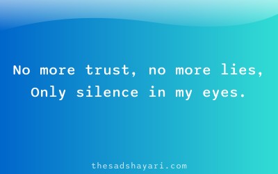 Heart touching Hindi shayari about end of trust