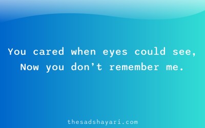 Sad Hindi shayari about fake friendship care