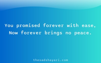 Breakup shayari about fake promises