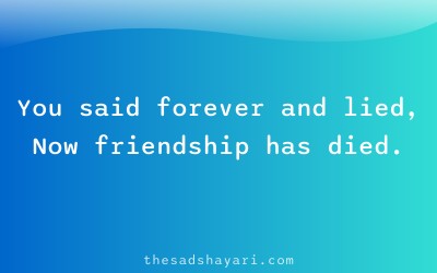 Bewafa friendship shayari in Hindi about lies
