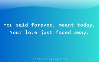 Bewafa Hindi shayari about fake promises