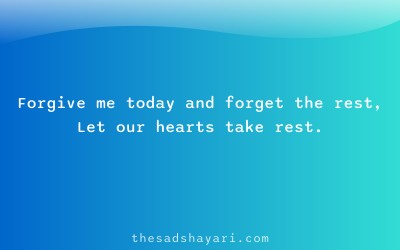 Sorry shayari Hindi about forgiveness and peace
