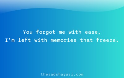 Relationship breakup shayari about being forgotten