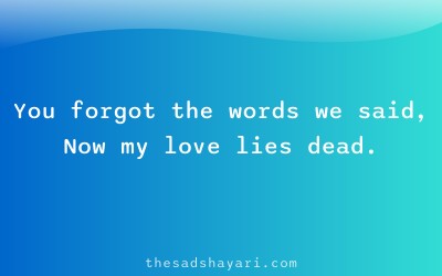 Sad Hindi shayari about forgotten love