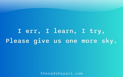 Sorry shayari Hindi about trying again