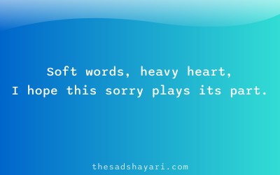Sorry shayari Hindi about gentle apology