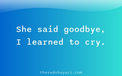 Bewafa shayari about painful farewell