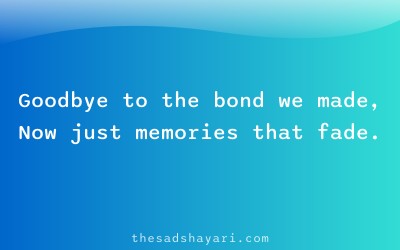 Sad Hindi shayari about ending friendship
