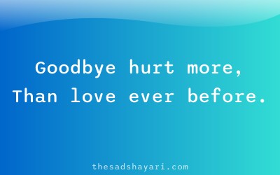Relationship breakup shayari in Hindi about goodbye