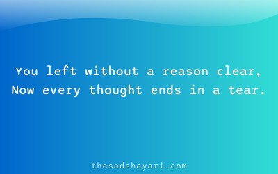 Breakup shayari in Hindi about reasonless goodbye