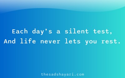 Sad Hindi shayari about struggles of daily life