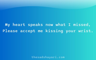 Sorry shayari Hindi about heartfelt apology