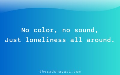 Festival shayari about hollow celebration