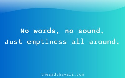 Emotional Hindi shayari about last meeting silence