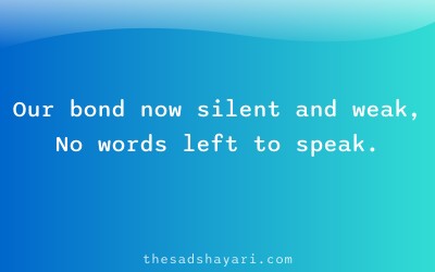 Sad Hindi shayari about silence in relationships