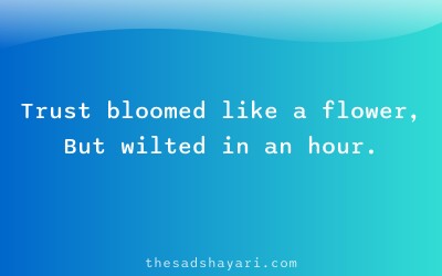 Trust toot gaya Hindi shayari about fragile faith
