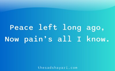 Sad Hindi shayari about losing peace in life