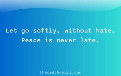 Hindi shayari about peaceful letting go