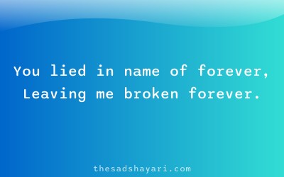 Bewafa shayari about eternal heartbreak