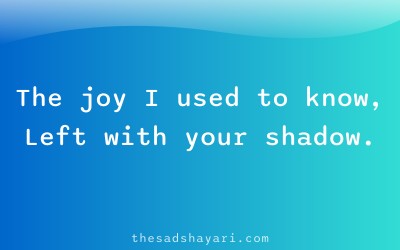 Emotional birthday shayari about past love
