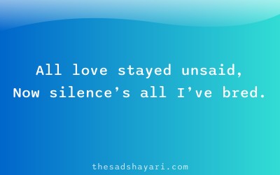 Heart touching unsaid feelings shayari about silence