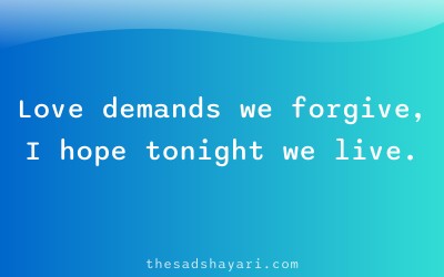 Sorry shayari Hindi about forgiveness in love