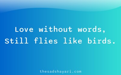 Romantic unsaid shayari about wordless love