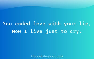 Sad bewafa shayari about end of love