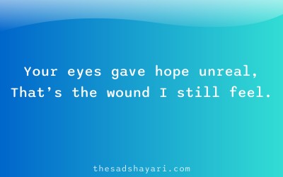 Sad bewafa shayari about false love