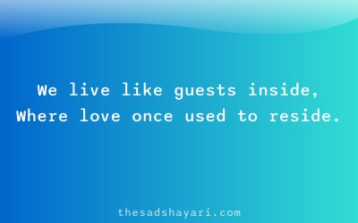 Sad Hindi shayari about loveless marriage